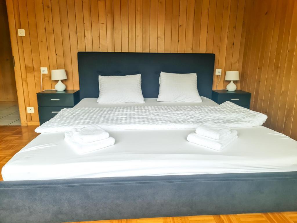 Abendberg Apartment - Aare Jungfrau Ag Wilderswil Eksteriør bilde